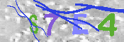 キャプチャ画像