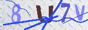 キャプチャ画像