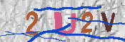 キャプチャ画像