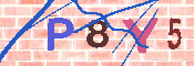 キャプチャ画像