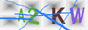 キャプチャ画像