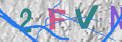 キャプチャ画像