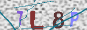 キャプチャ画像