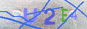 キャプチャ画像