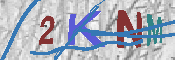 キャプチャ画像
