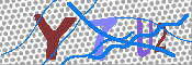 キャプチャ画像