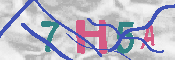 キャプチャ画像