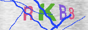 キャプチャ画像