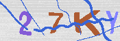 キャプチャ画像