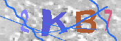 キャプチャ画像
