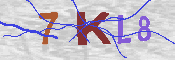 キャプチャ画像