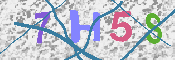 キャプチャ画像