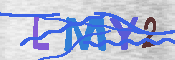 キャプチャ画像