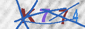 キャプチャ画像