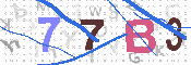 キャプチャ画像