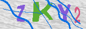 キャプチャ画像