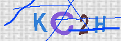 キャプチャ画像