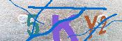 キャプチャ画像