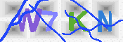 キャプチャ画像