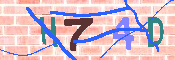 キャプチャ画像