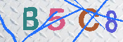 キャプチャ画像