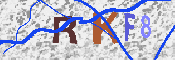 キャプチャ画像