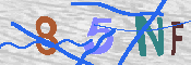 キャプチャ画像