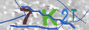 キャプチャ画像
