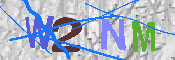 キャプチャ画像