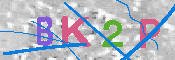 キャプチャ画像