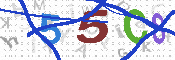 キャプチャ画像