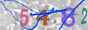 キャプチャ画像