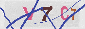 キャプチャ画像