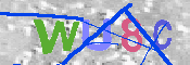 キャプチャ画像