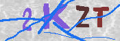 キャプチャ画像