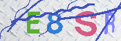 キャプチャ画像