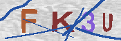 キャプチャ画像