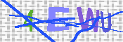 キャプチャ画像