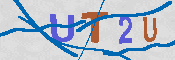 キャプチャ画像