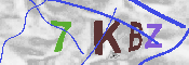 キャプチャ画像
