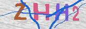 キャプチャ画像