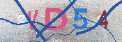 キャプチャ画像