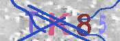 キャプチャ画像