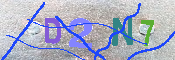 キャプチャ画像