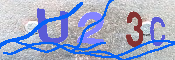 キャプチャ画像
