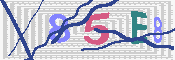 キャプチャ画像