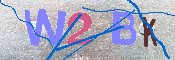 キャプチャ画像