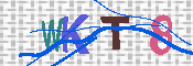 キャプチャ画像