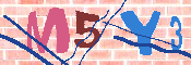 キャプチャ画像