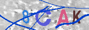 キャプチャ画像